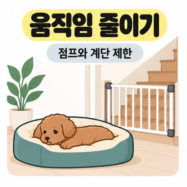 움직임 줄이기와 점프와 계단 제한 문구 아래 갈색 강아지가 낮은 침상에서 쉬고 뒤쪽 계단 입구에 안전문이 설치된 삽화