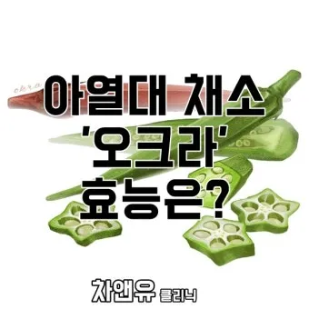 오크라 효능 재배법 손질 수확 요리 보관까지 한눈에 보기_9