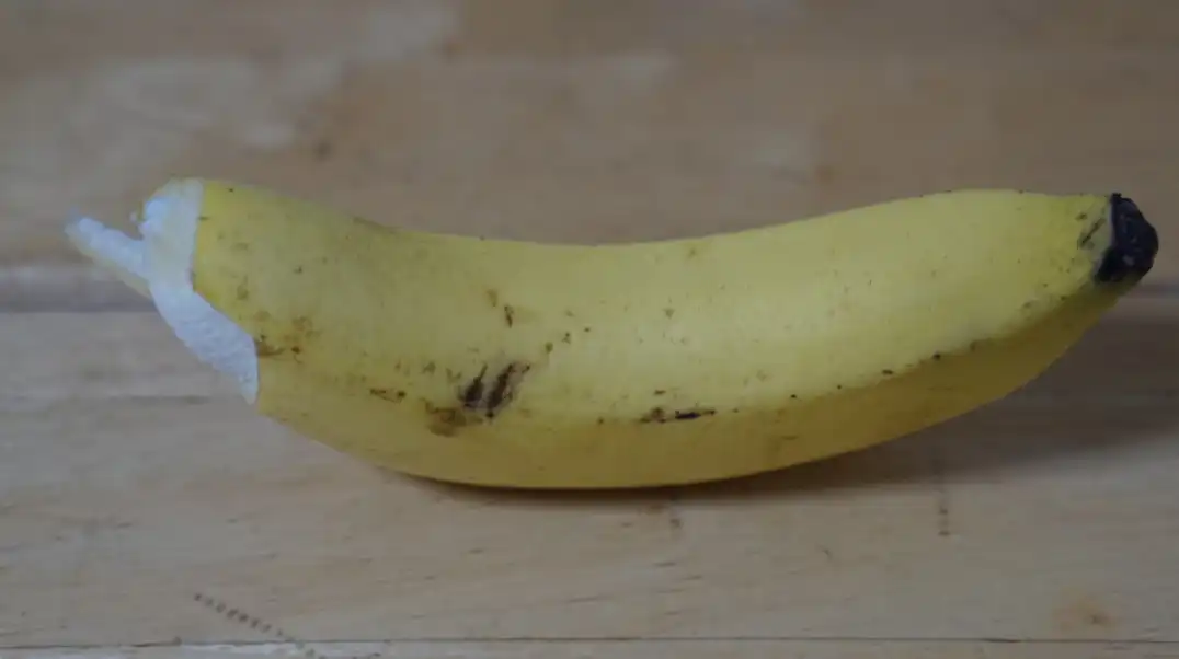 종류별 음식물쓰레기 알아보기