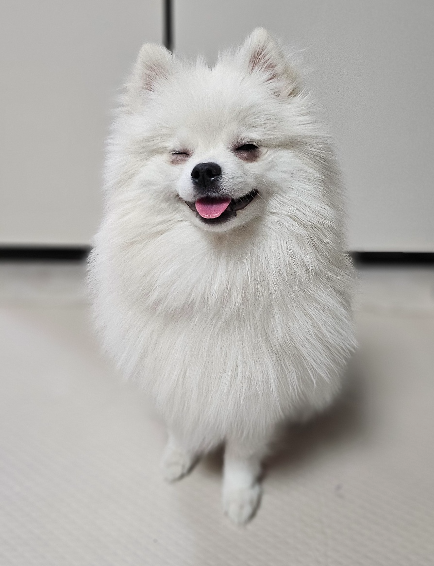 모량이 풍부한 하콩