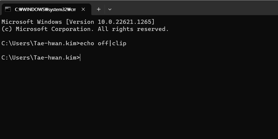 클립보드의 정보를 그림판