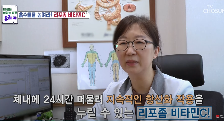 체내에 오래 머문다는 리포좀 비타민C