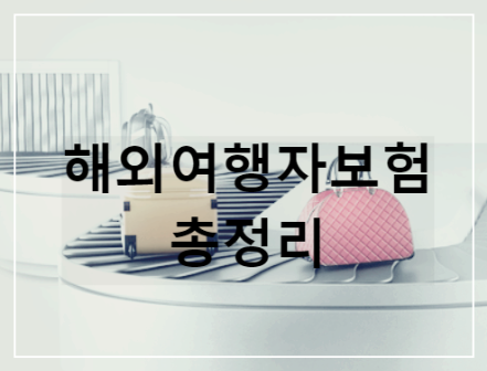 해외여행자보험