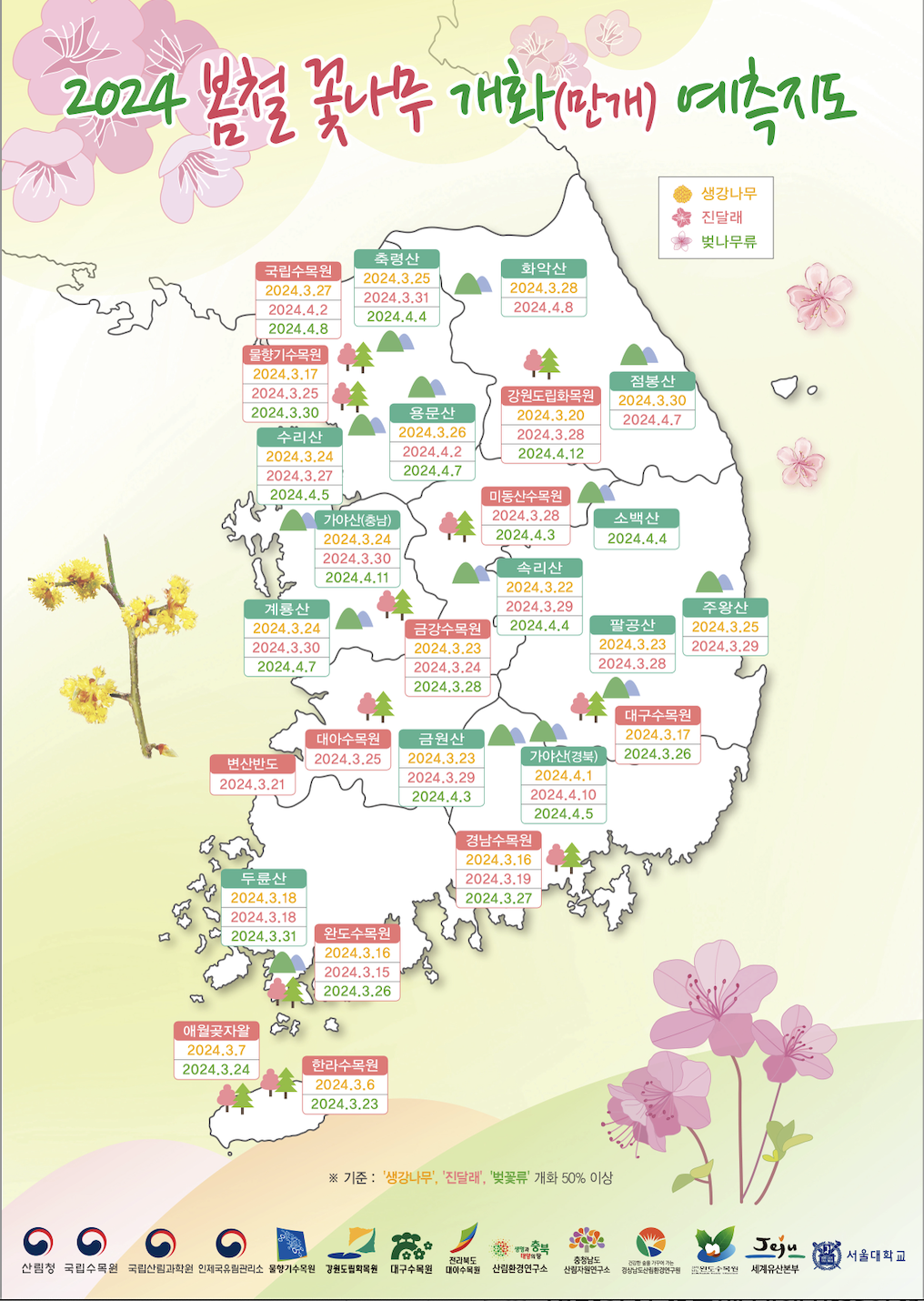 2024년 벚꽃 개화시기
