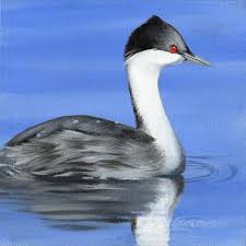 후닌 논병아리의 먹이 부족기(건기) 전략적 사냥 방식 변화 분석