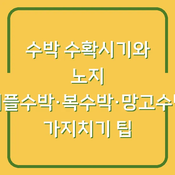 수박 수확시기와 노지 애플수박·복수박·망고수박 가지치기 팁