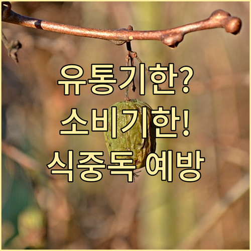 유통기한? 소비기한! 식중독 예방을 ..