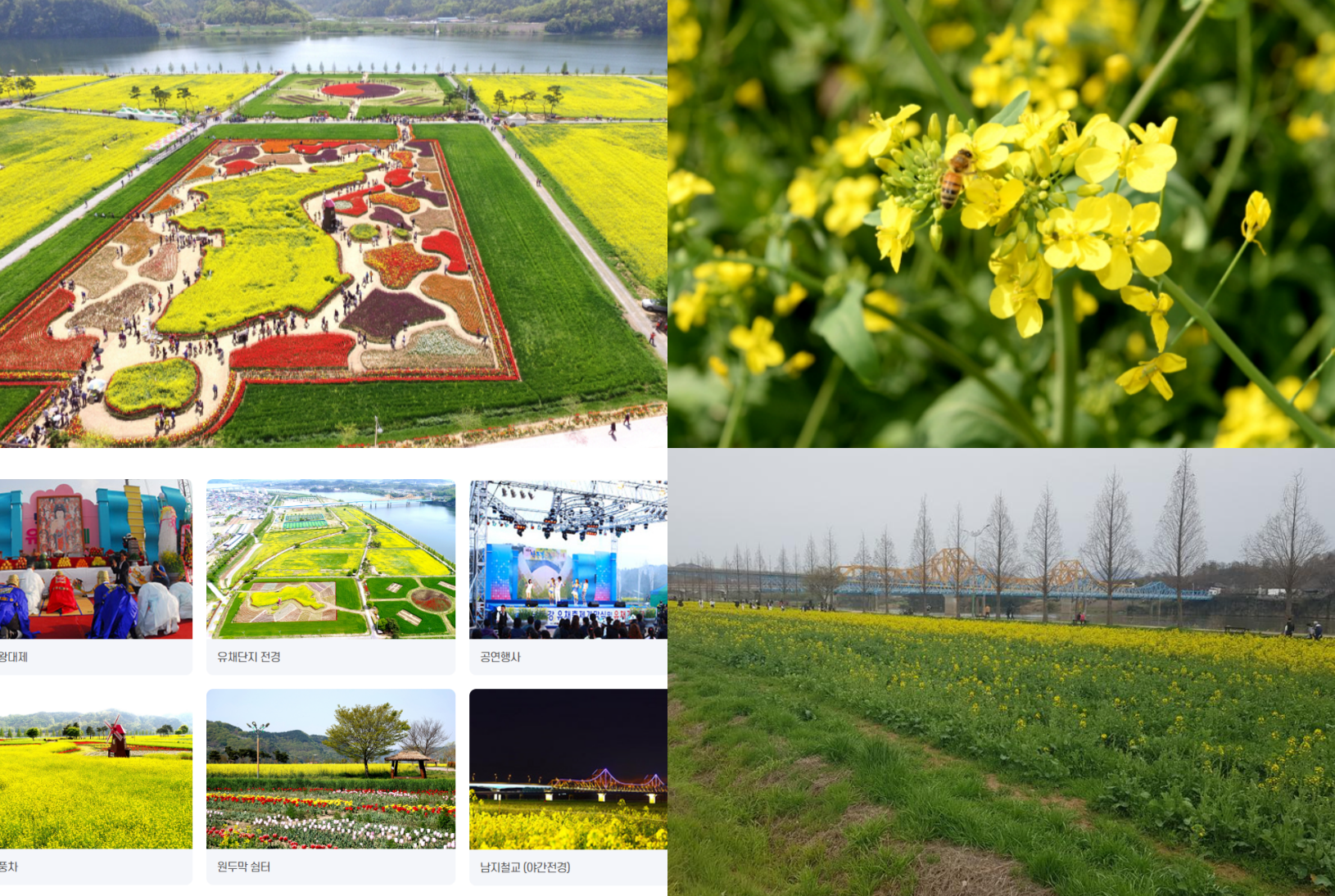 남지 유채꽃축제 일정