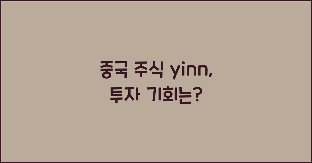 중국 주식 yinn