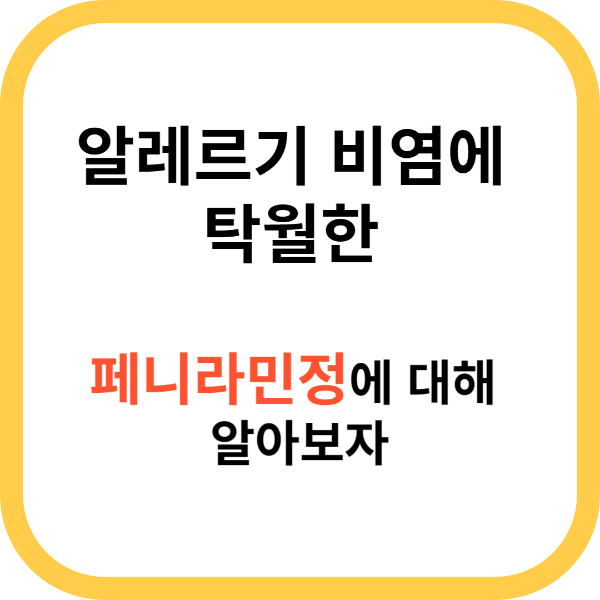 페니라민정