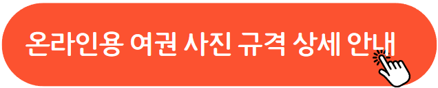 여권사진 규격