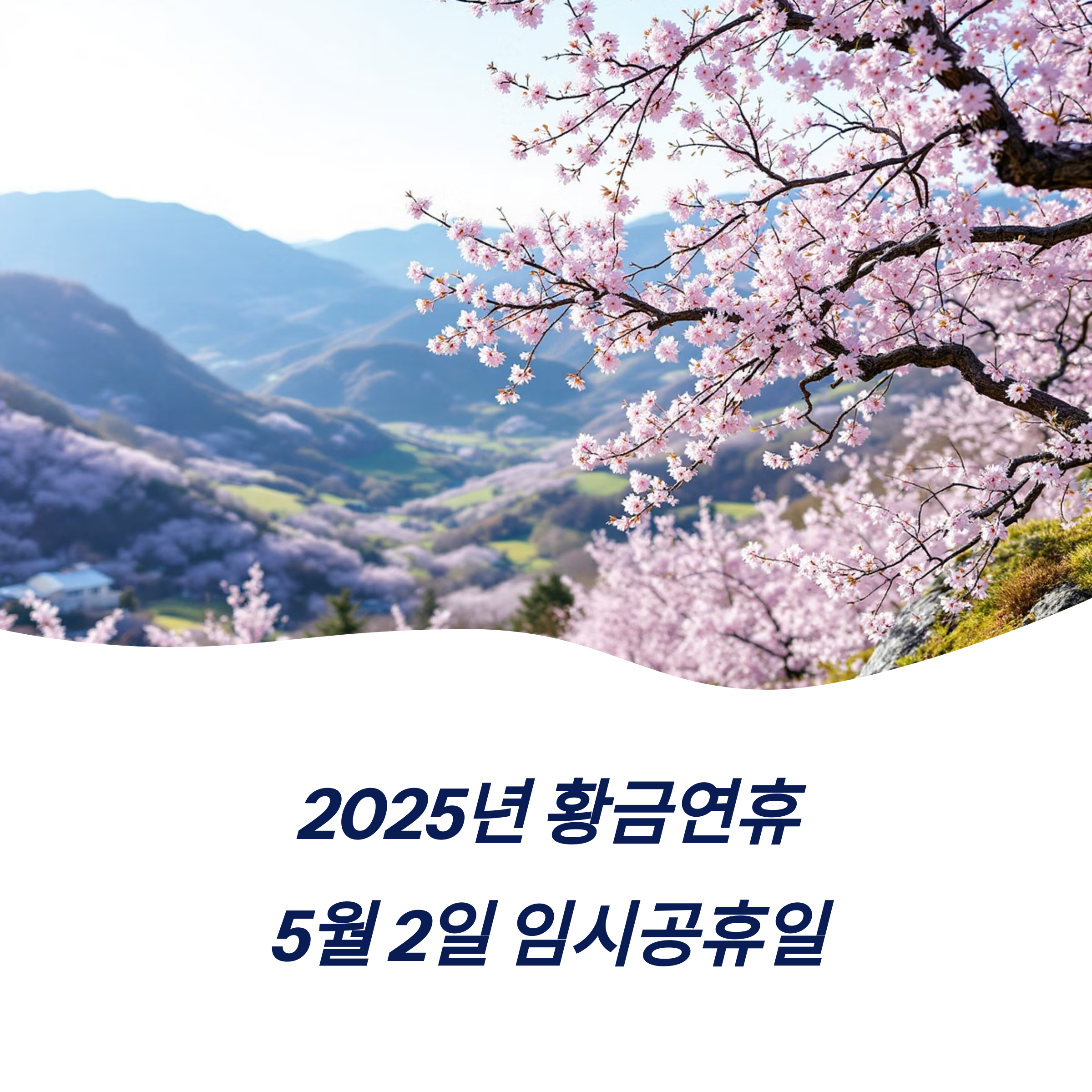 2025년 5월 2일 임시공휴일 지정 정보 영향 여행 관광 산업