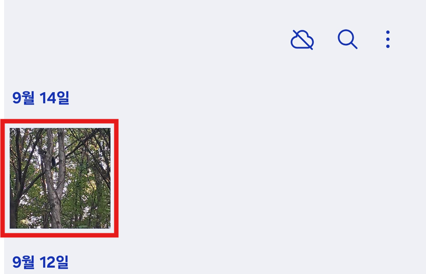방법 2: 보내고 싶은 사진 고르기