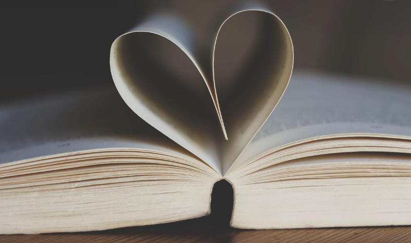 MBTI 성격유형 이해에 도움이 되는 책 추천, 자기이해에 깊이를 더하다