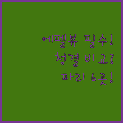 에펠탑 초근접 뷰부터 디올 스파까지 ..