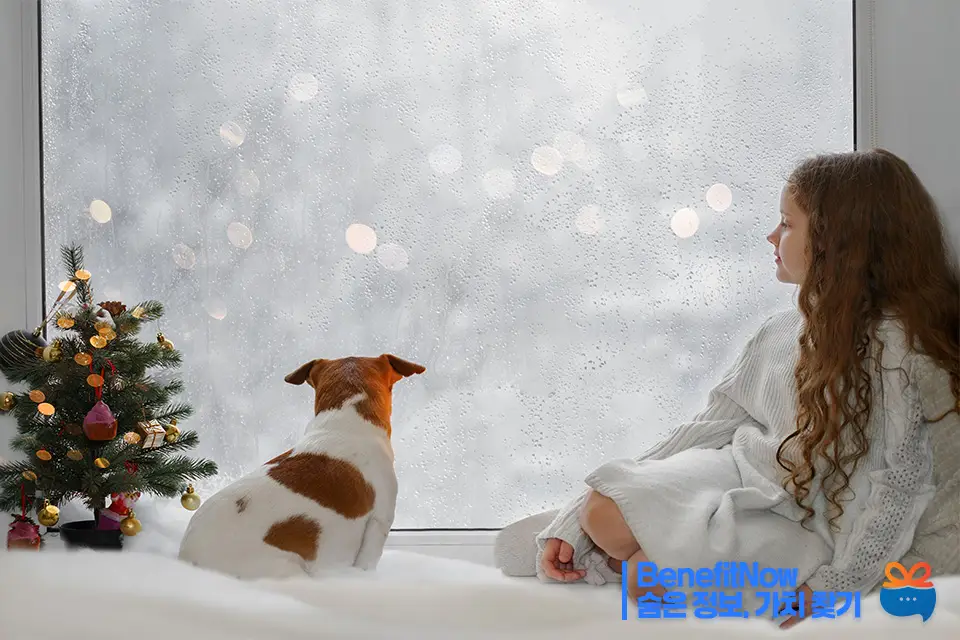 에너지 바우처 신청방법