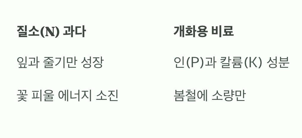 과도한 사랑, '질소 비료'의 함정