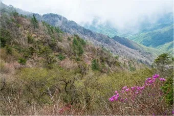 2025년 8월 지리산 날씨 옷차림 복장 준비물 여행 꿀팁_6