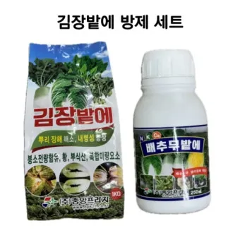 김장무 웃거름 주기 비료주는 시기와 방법을 안내_10