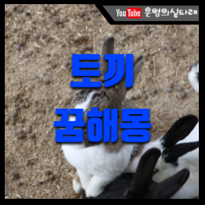 썸네일 사진