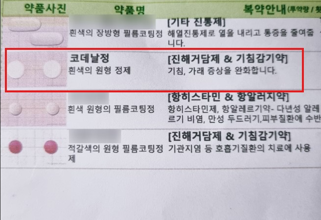코데날정