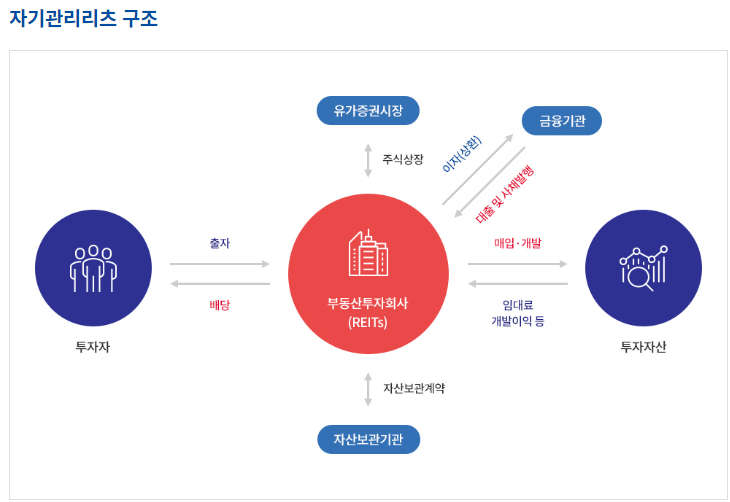 자기관리리츠 구조