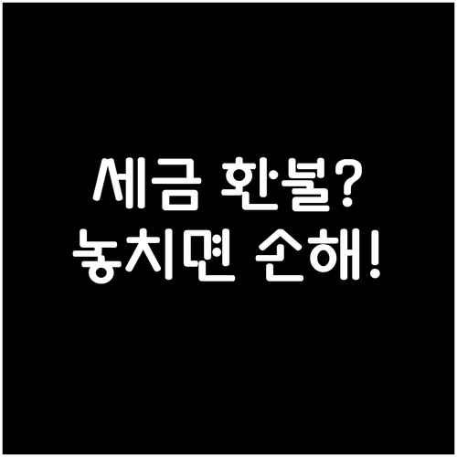 항공권 미사용 세금 및 부과금 환불 ..