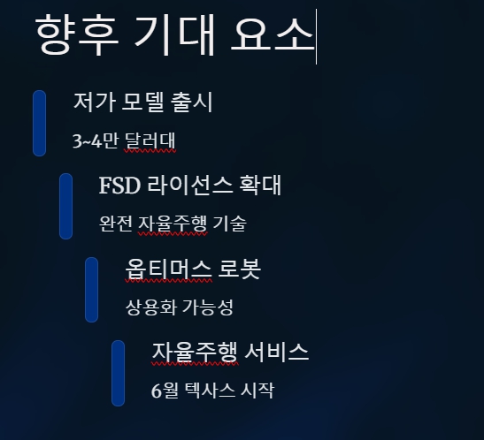 테슬라 기대 포인트