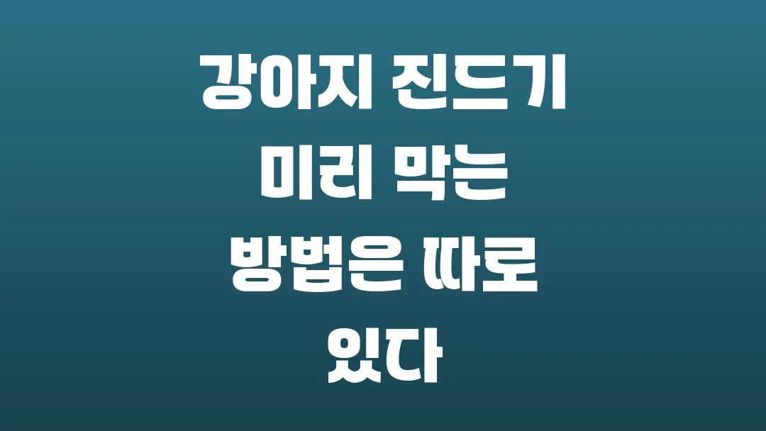 강아지 진드기 미리 막는 방법은 따로 있다