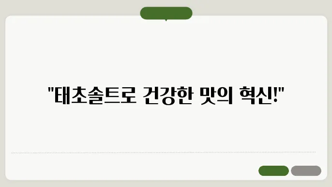 태초솔트로 만드는 음므