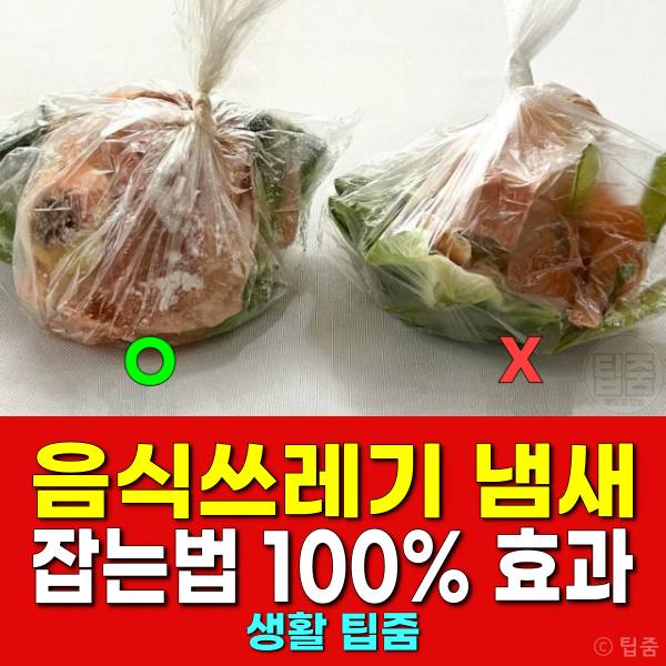 음식쓰레기 냄새 잡는법 음식물처리기