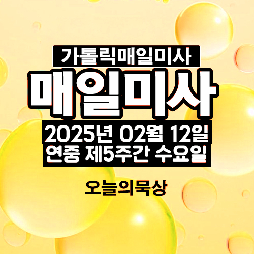2025년 2월 12일 매일미사 연중 제5주간 수요일 오늘의 묵상