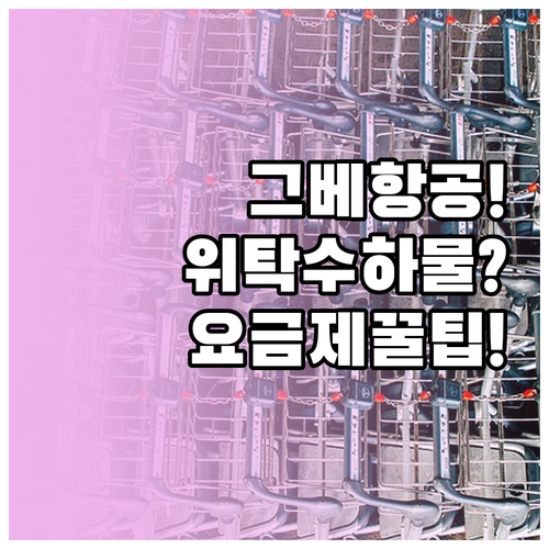 그레이터베이항공 위탁수하물, 요금제부..