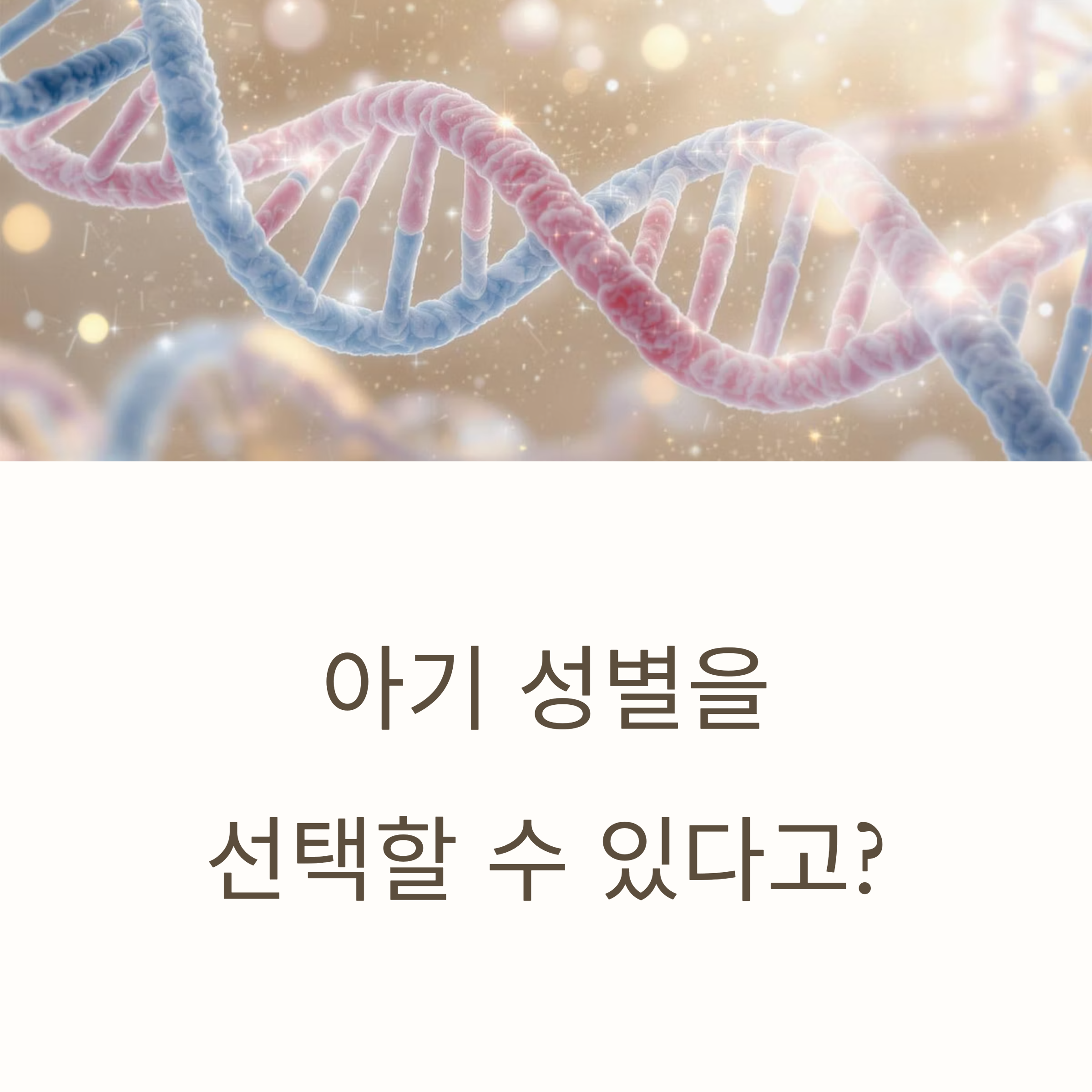 DNA 이중 나선 구조 이미지와 함께 &lsquo;아기 성별을 선택할 수 있다고?&rsquo;라는 문구가 적힌 인포그래픽