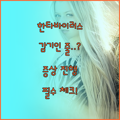 한타바이러스 초기 증상과 진행 단계 ..