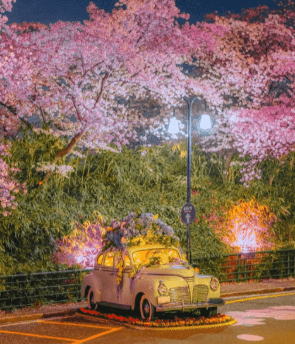 2024 대구 이월드 블라썸 피크닉 축제 기간 가격 할인