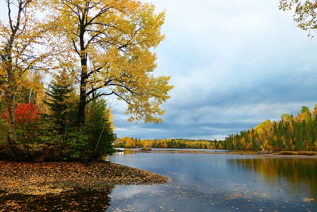 이집트 문명과 나일 강 범람의 주기