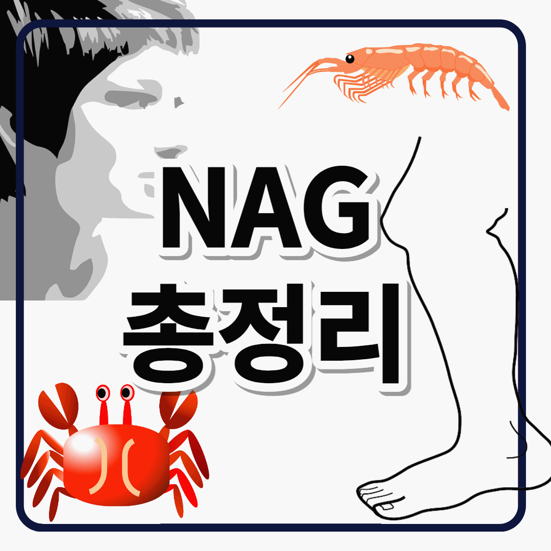 N-아세틸글루코사민 NAG 효능, 추천, 영양제 대표이미지, 썸네일