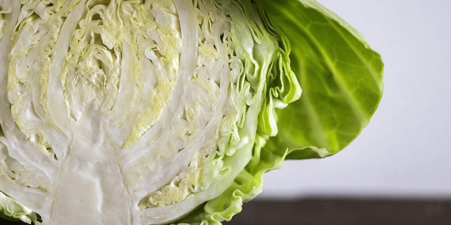 반으로 잘라져 있는 양배추