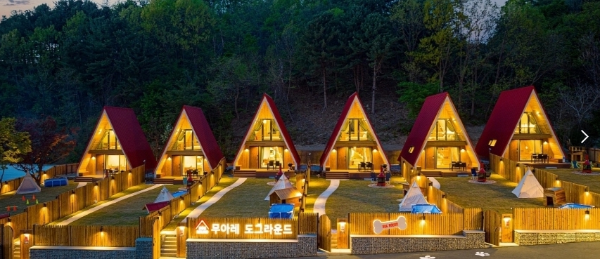 가평 애견 동반펜션 추천 🐶