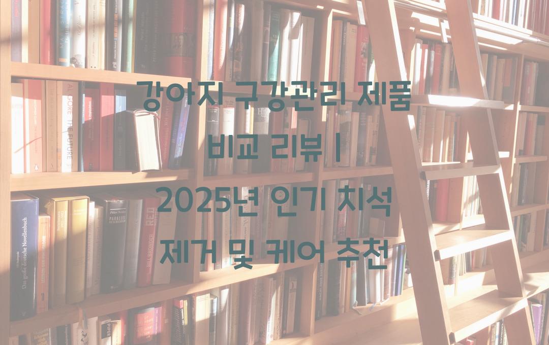 강아지 구강관리 제품 비교 리뷰