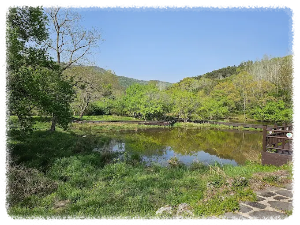 고창운곡람사르습지