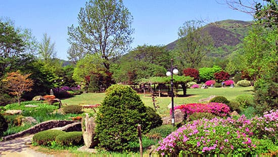 [아이 동반, 서울 근교 여행지]경기도 포천 서운동산｜딸기, 블루베리, 옥수수, 먹이주기, 밤줍기 등 체험 가득한 가족 여행지