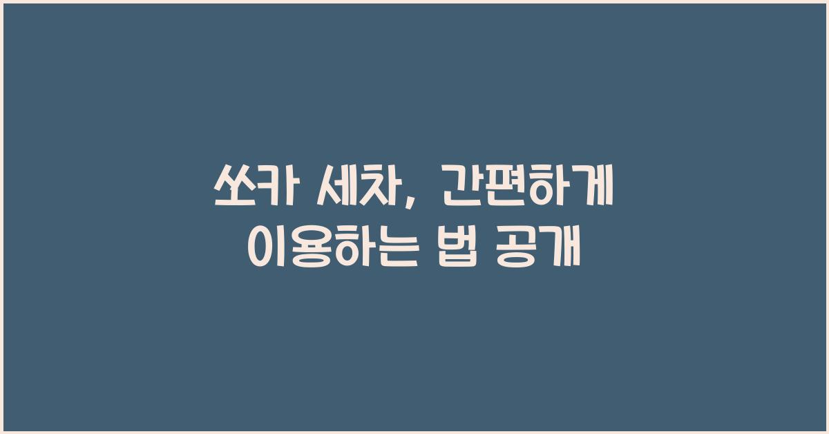 쏘카 세차