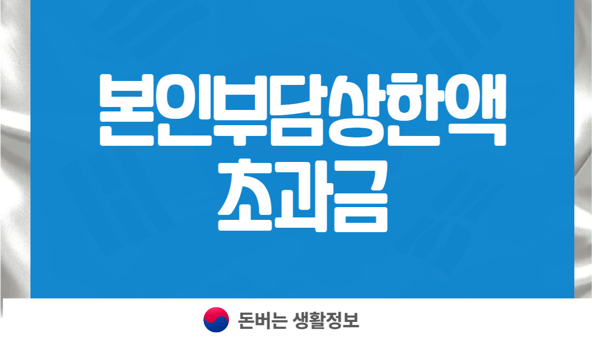 본인부담상한액 초과금