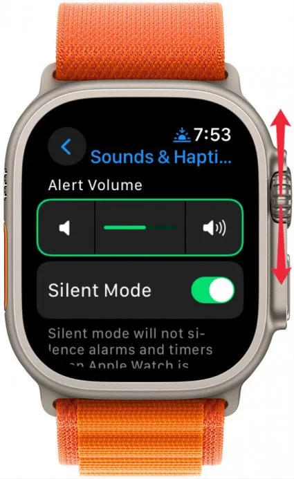 애플워치 볼륨조절 스텝5