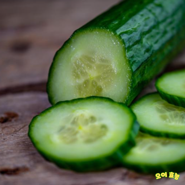 오이 효능 : 오이의 효능 알고 드세요!