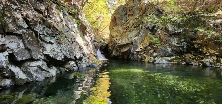 백운산자연휴양림가을