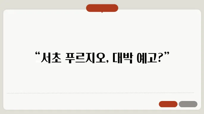 [부동산 시장 전망]서초 푸르지오써밋, 강남의 랜드마크 아파트가 될 수 있을까?