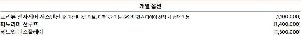 GV70 개별옵션